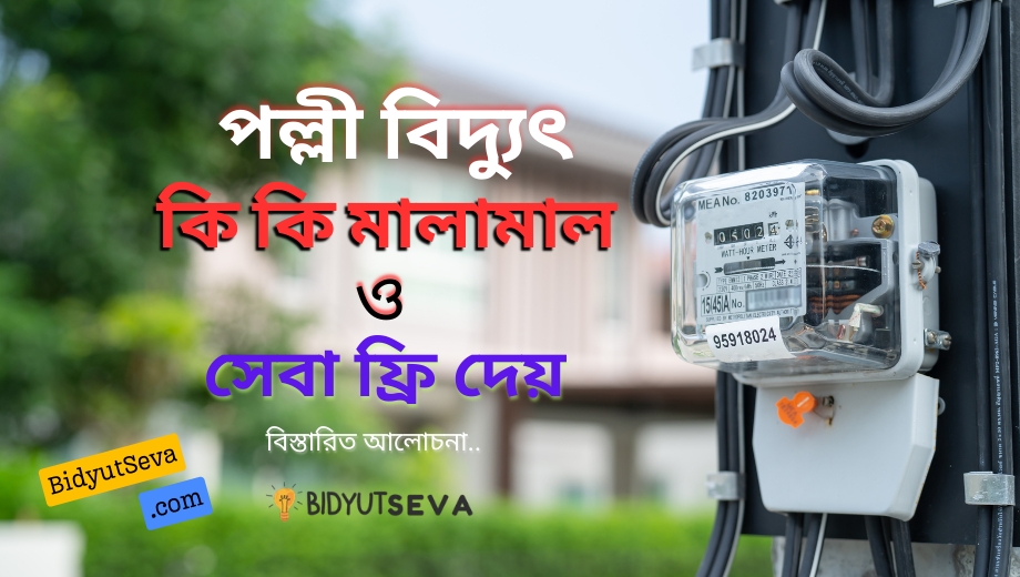 পল্লী বিদ্যুৎ কি কি মালামাল ও সেবা ফ্রি দেয় : বিস্তারিত